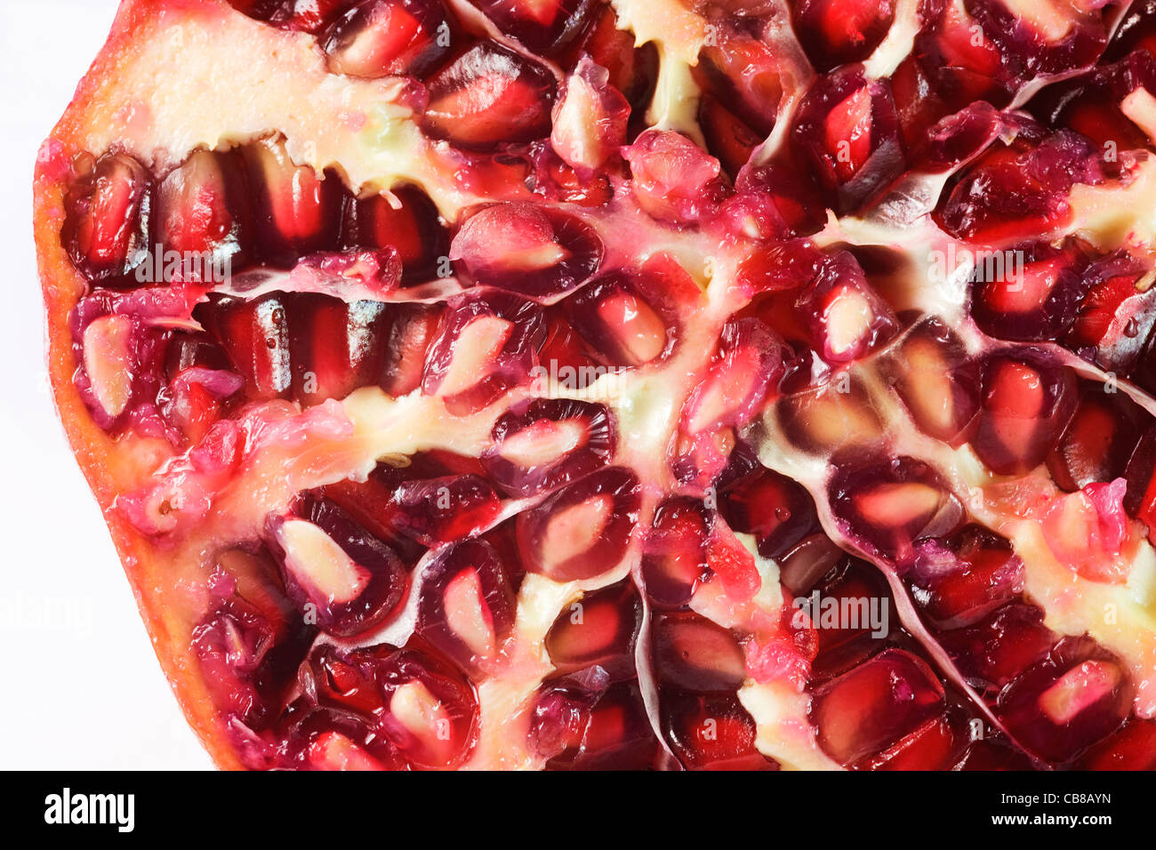 Punica Granatum. Einen Querschnitt der Granatapfel-Frucht vor einem weißen Hintergrund Stockfoto