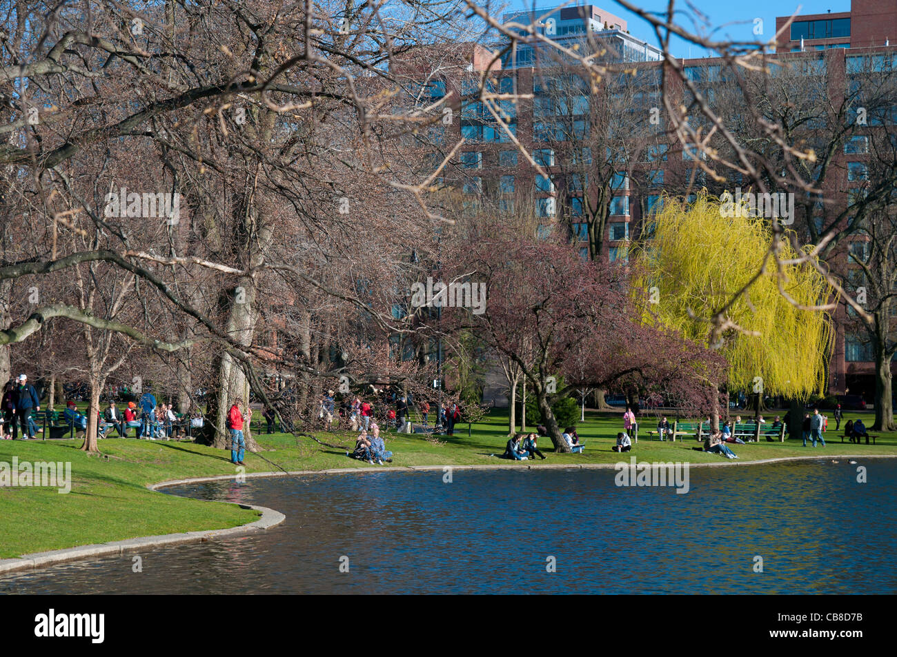 Menschen, die in der Nähe der Lagune im öffentlichen Garten von Boston picknicken Stockfoto