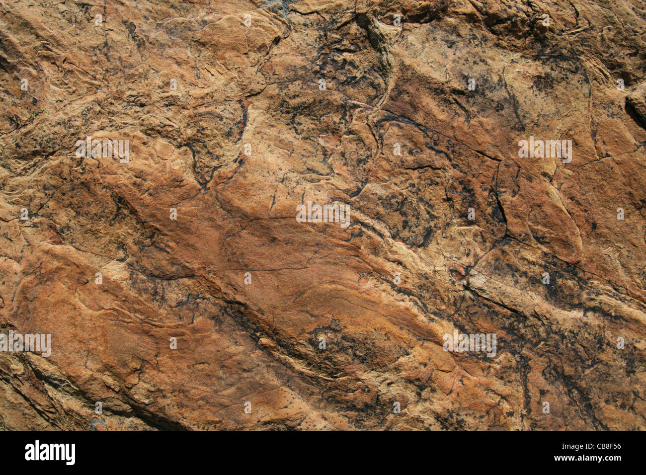 strukturierte Quarzit Gesteinsoberfläche Hintergrund Stockfoto