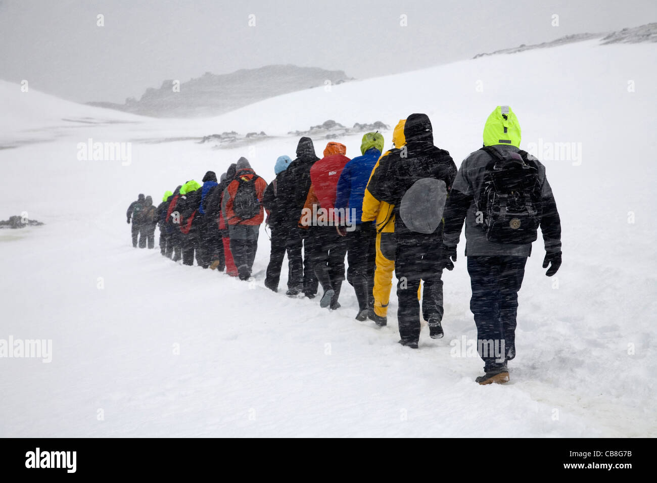 Touristen, die zu Fuß in Linie im Schnee Barrientos Island, Süd-Shetland-Inseln, Antarktis erkunden Stockfoto