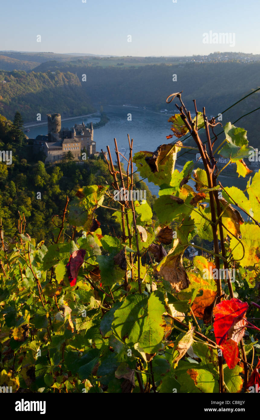 Mittelalterliche deutsche Burg Burg Katz, Herbstfärbung im Rheintal Stockfoto