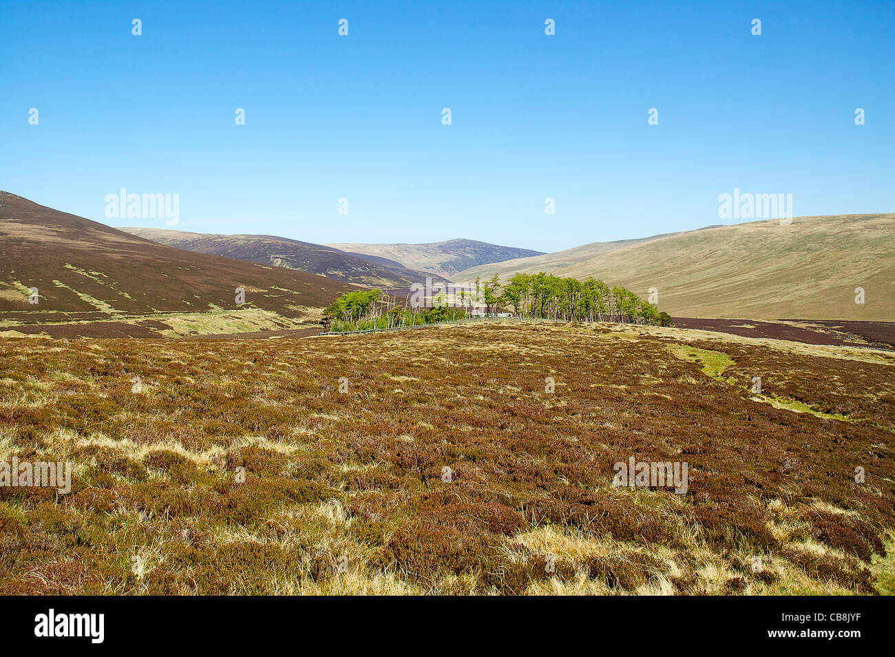 O Skidda, die Fjälls, Cumbria, Blick in Richtung Jugendherberge Skiddaw Haus zurück Stockfoto