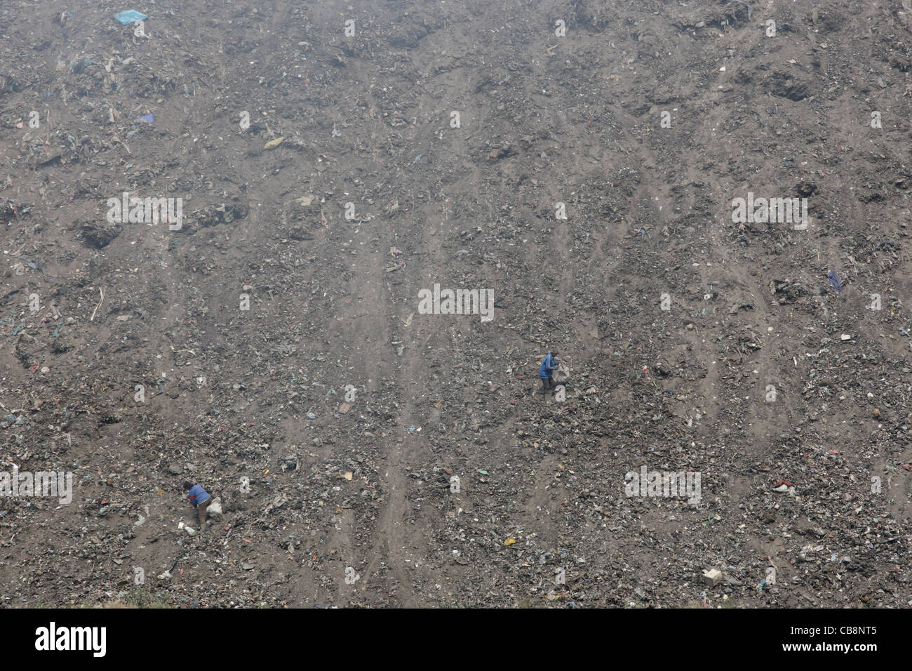 Armen Roma-Bevölkerung (Zigeuner) sammeln Müll aus Müll-Deponie in der Nähe von Stadt Pasardschik, Bulgarien Stockfoto