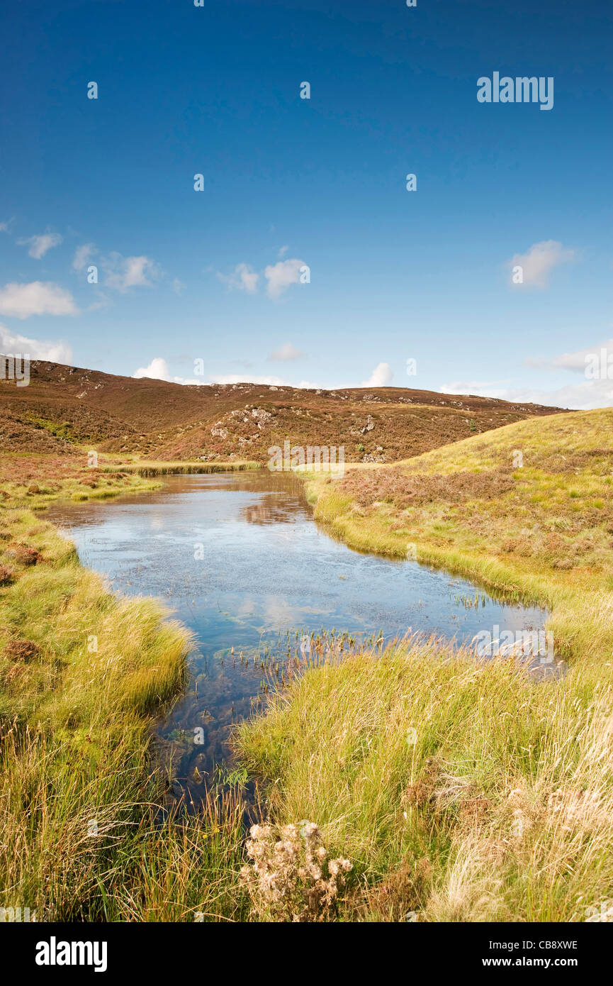 Alte Packung Horde Brücke + kleine Lochian, Schottisches Hochland Stockfoto