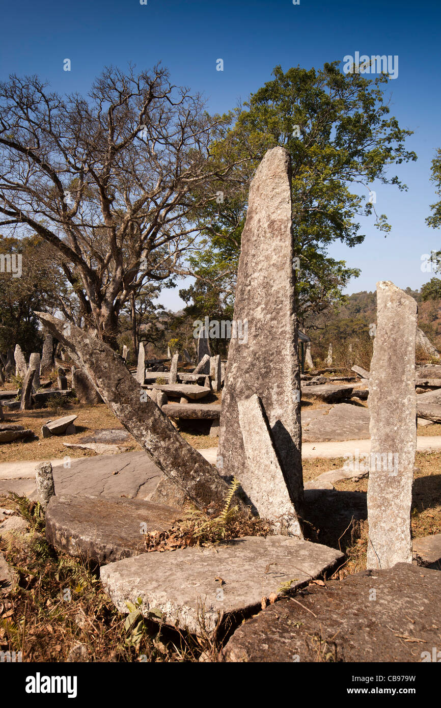 Indien, Meghalaya, Jaintia Hills, Shillong Bezirk Nartiang Megalithen, Stein Monolithen erinnern Jaintia Herrscher Stockfoto