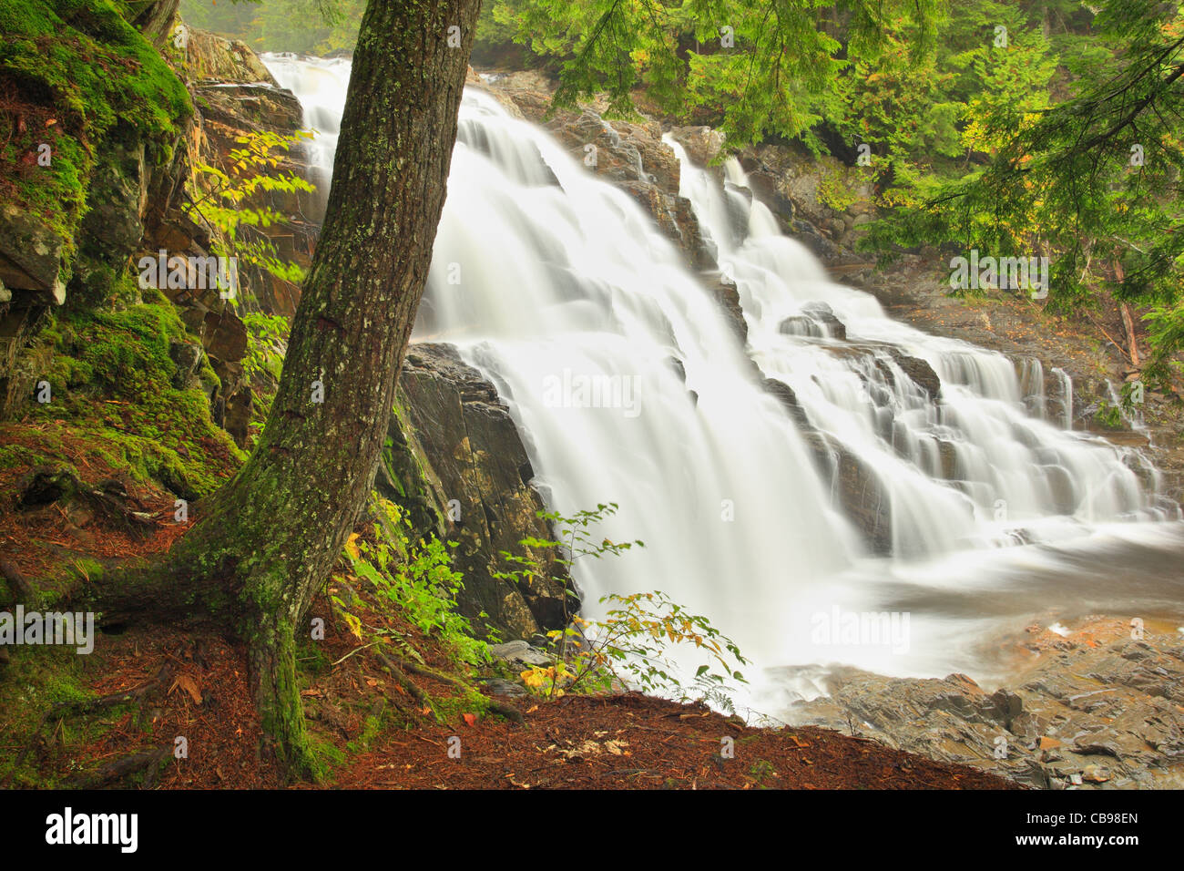 Houston Brook Falls, Moskau, Maine, USA Stockfoto