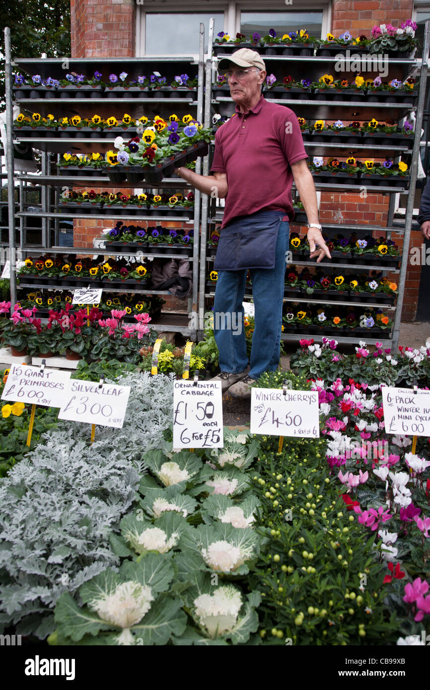 Columbia Flower Market, London, UK Stockfoto