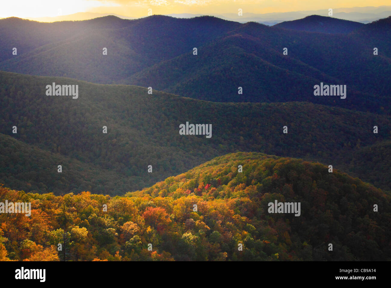 Zeigen Sie in der Nähe von Brown Berg, Shenandoah-Nationalpark, Virginia, USA an Stockfoto