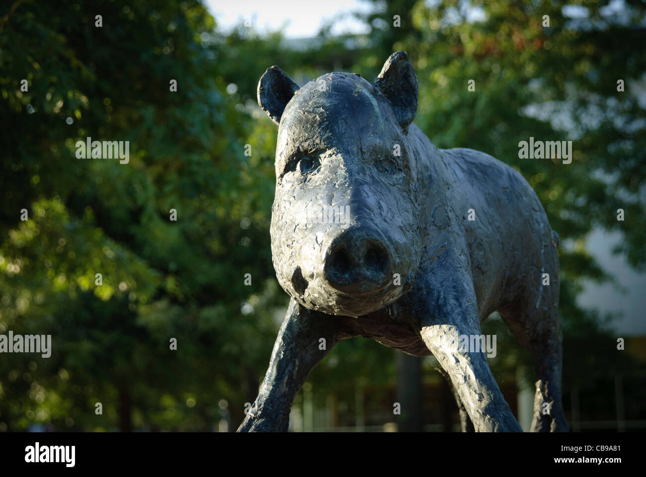 Razorback stolz Bronze Statue des Künstlers Hank Kaminsky auf dem Campus der University of Arkansas in Fayetteville. Stockfoto