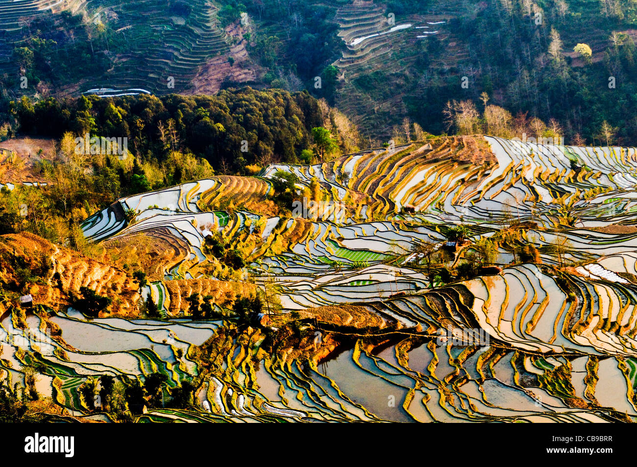 Schöne Aussicht auf die Reisterrassen von YuanYang in Yunnan. Stockfoto