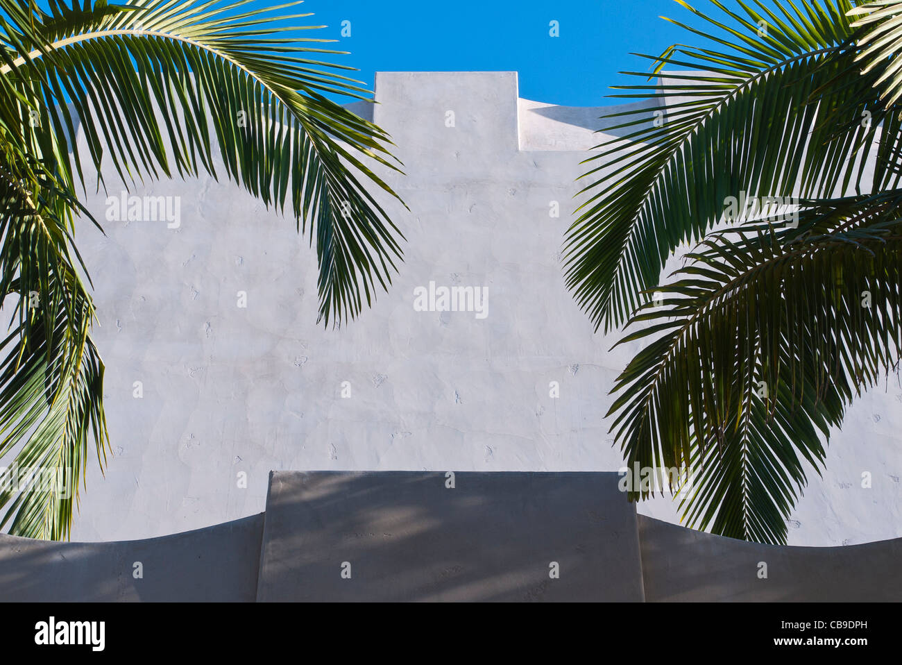 Zeitgenössische Crenelations auf einer Wand Stuck sind eingerahmt von Palmwedeln in Santa Barbara, Kalifornien, USA. Stockfoto