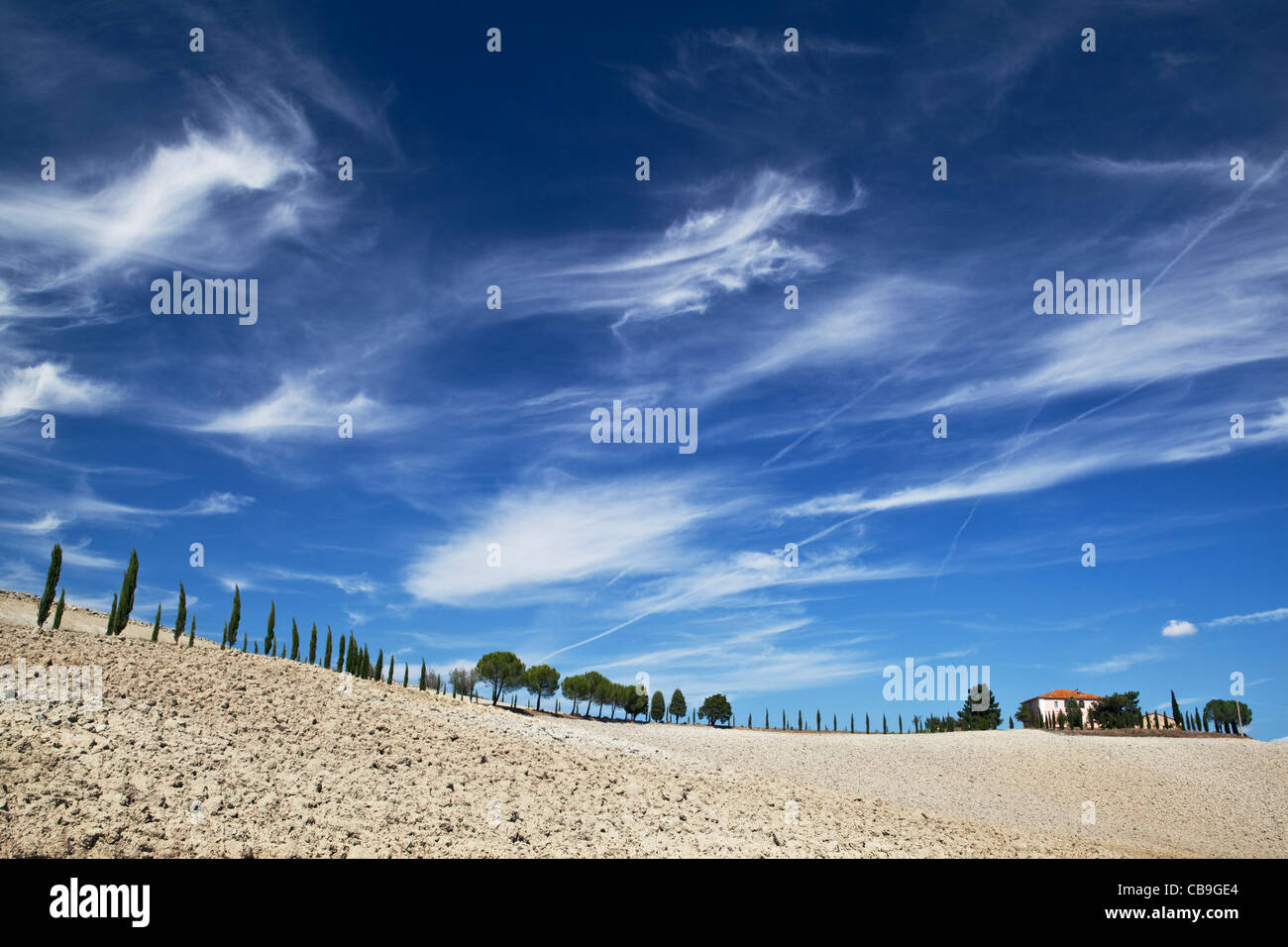 Zypressen führt zu toskanische Villa Toskana Italien Stockfoto