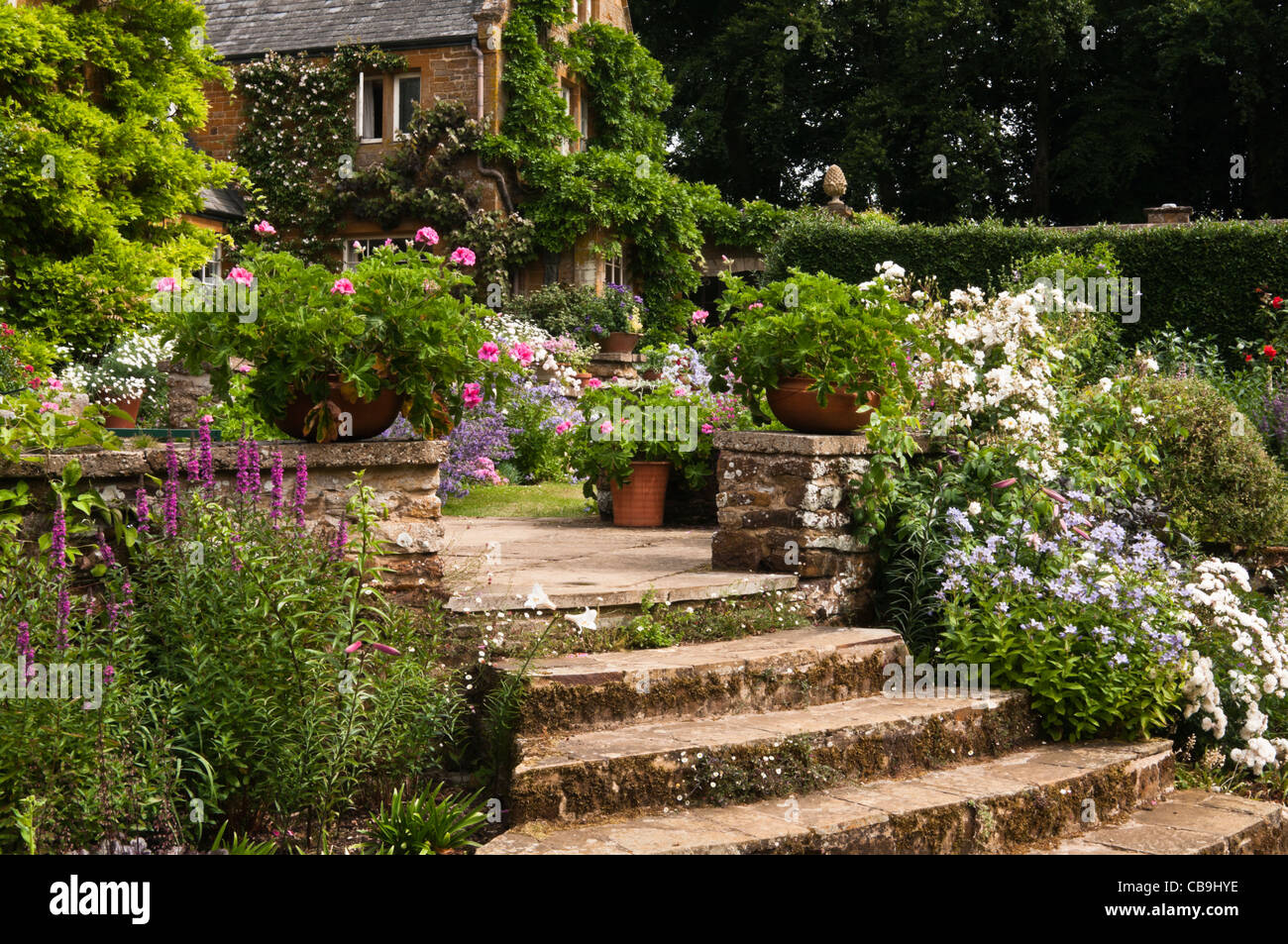 York Steinstufen führen zu einem Terrasse Garten voller Sommer Farbe in den Coton Manor Gardens in Northamptonshire, England Stockfoto