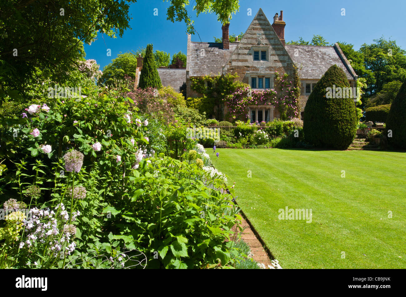 Ein Blick auf Coton Manor neben der Grenze zu Acacia und eine gepflegte Rasenfläche, Coton Manor Gardens, Northamptonshire, England Stockfoto