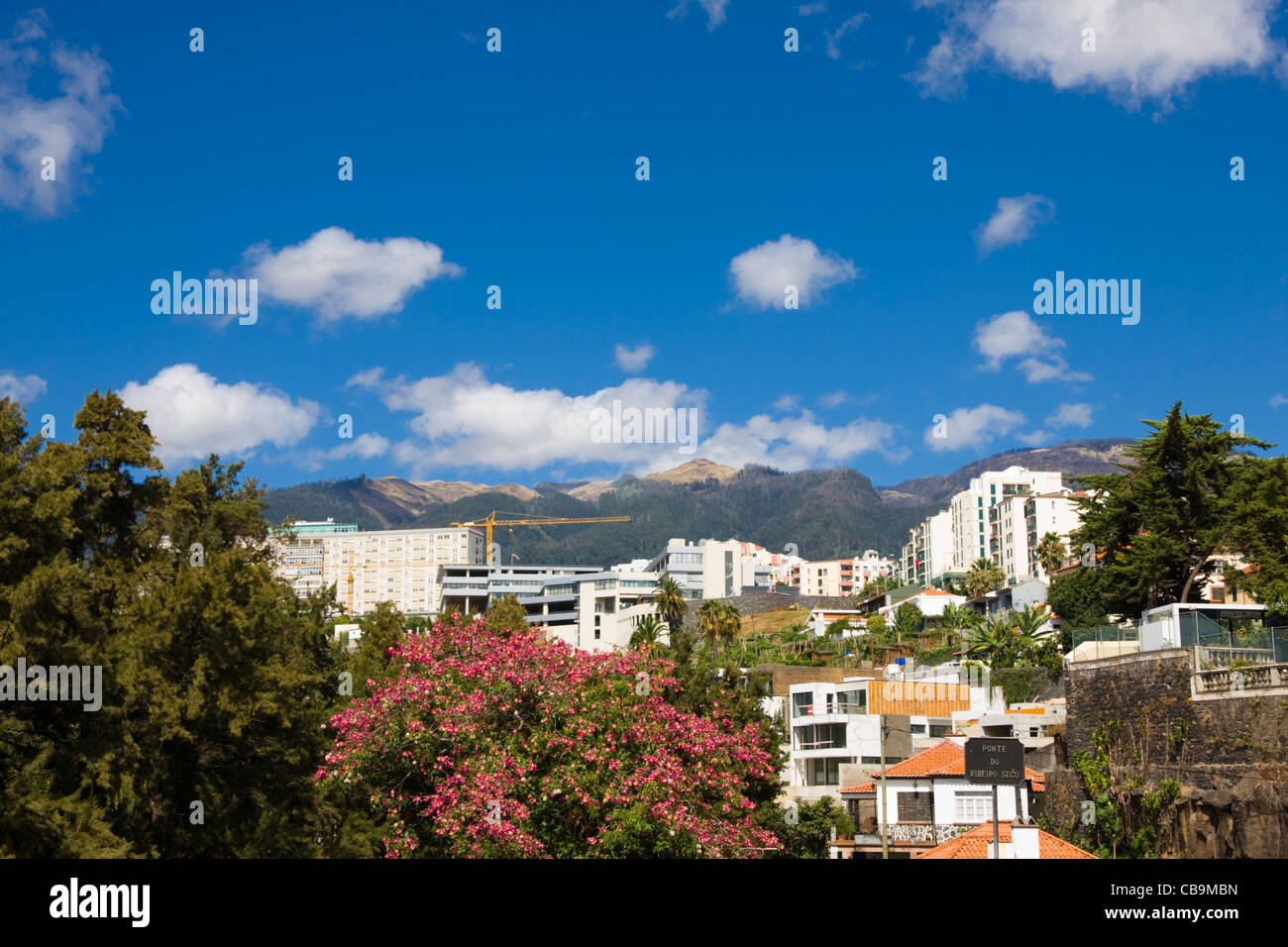 Blick ins Landesinnere von Ponte Ribeiro Seco, Funchal, Madeira Stockfoto