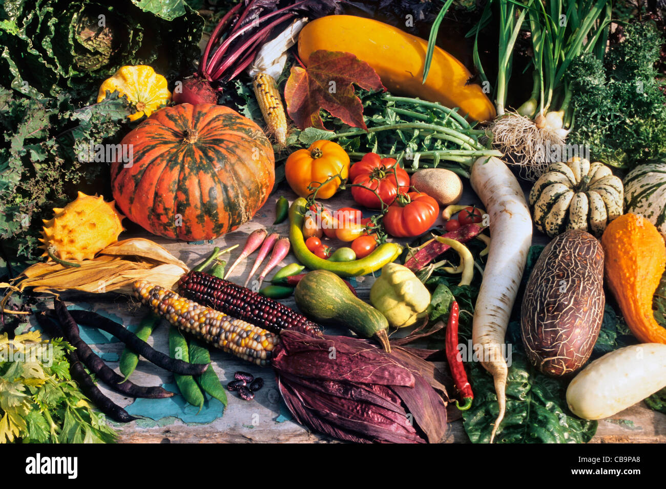 Anzeige der bunten Sortiment an frischen saisonalen Grüns und Gemüse als Zutat zum kochen gesund und nahrhaft Stockfoto