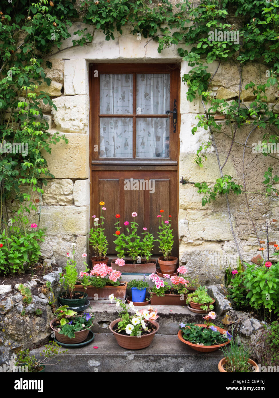 Stabile Tür mit Blumen im Süden Frankreichs Stockfoto