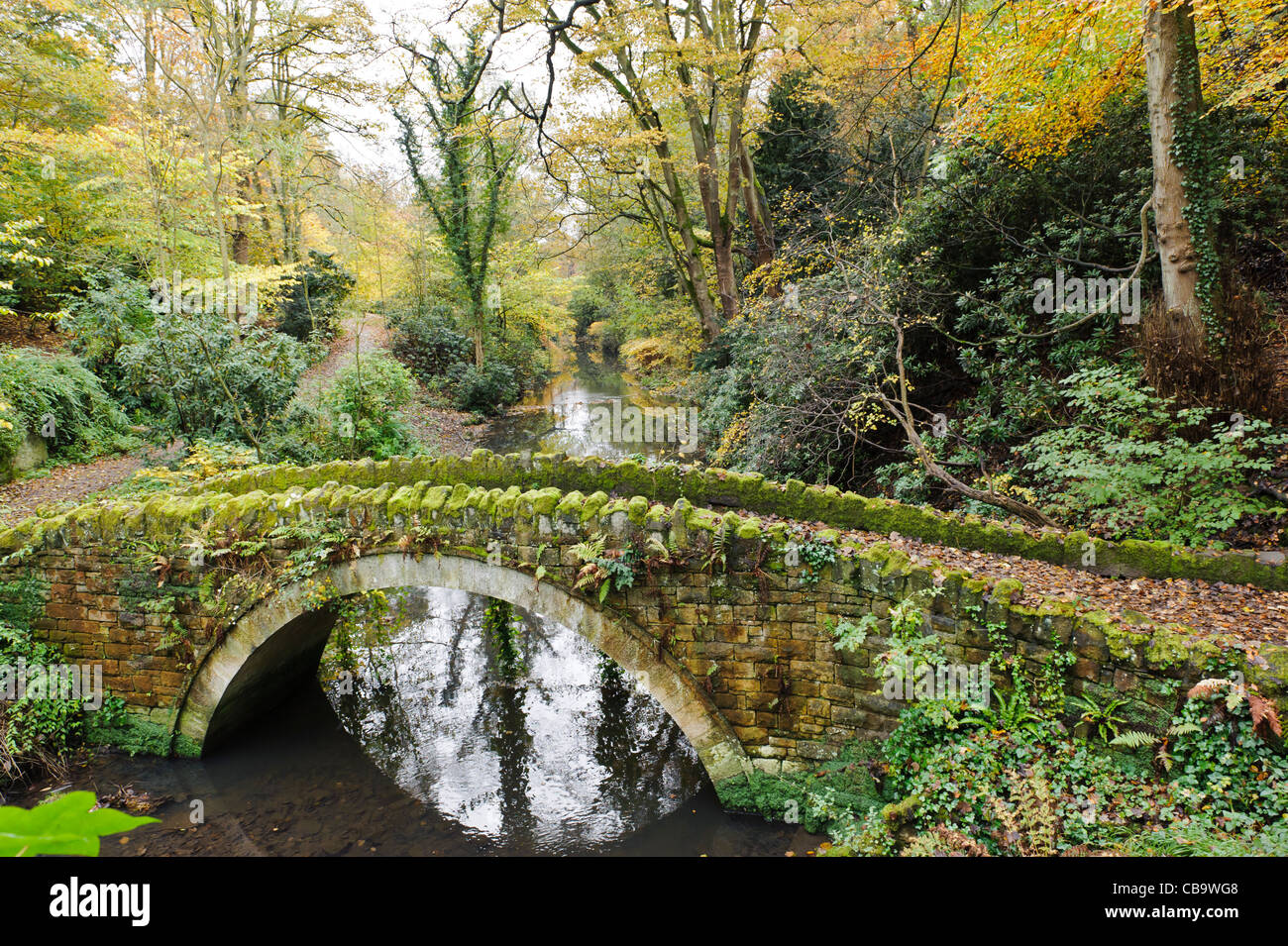 Jesmond Dene, Newcastle Upon Tyne Stockfoto