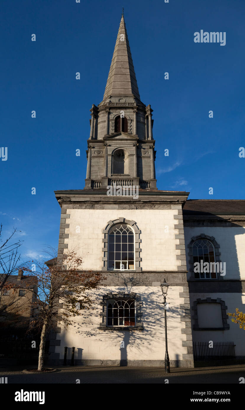 Christuskirche C.I Kathedrale, erbaut von John Roberts 1773, Stadt Waterford, Irland Stockfoto