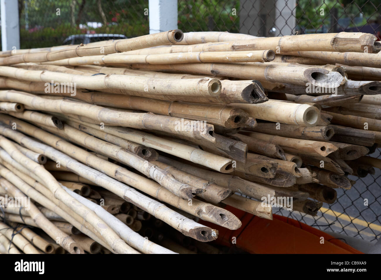 Bambus gerst china -Fotos und -Bildmaterial in hoher Auflsung  Alamy