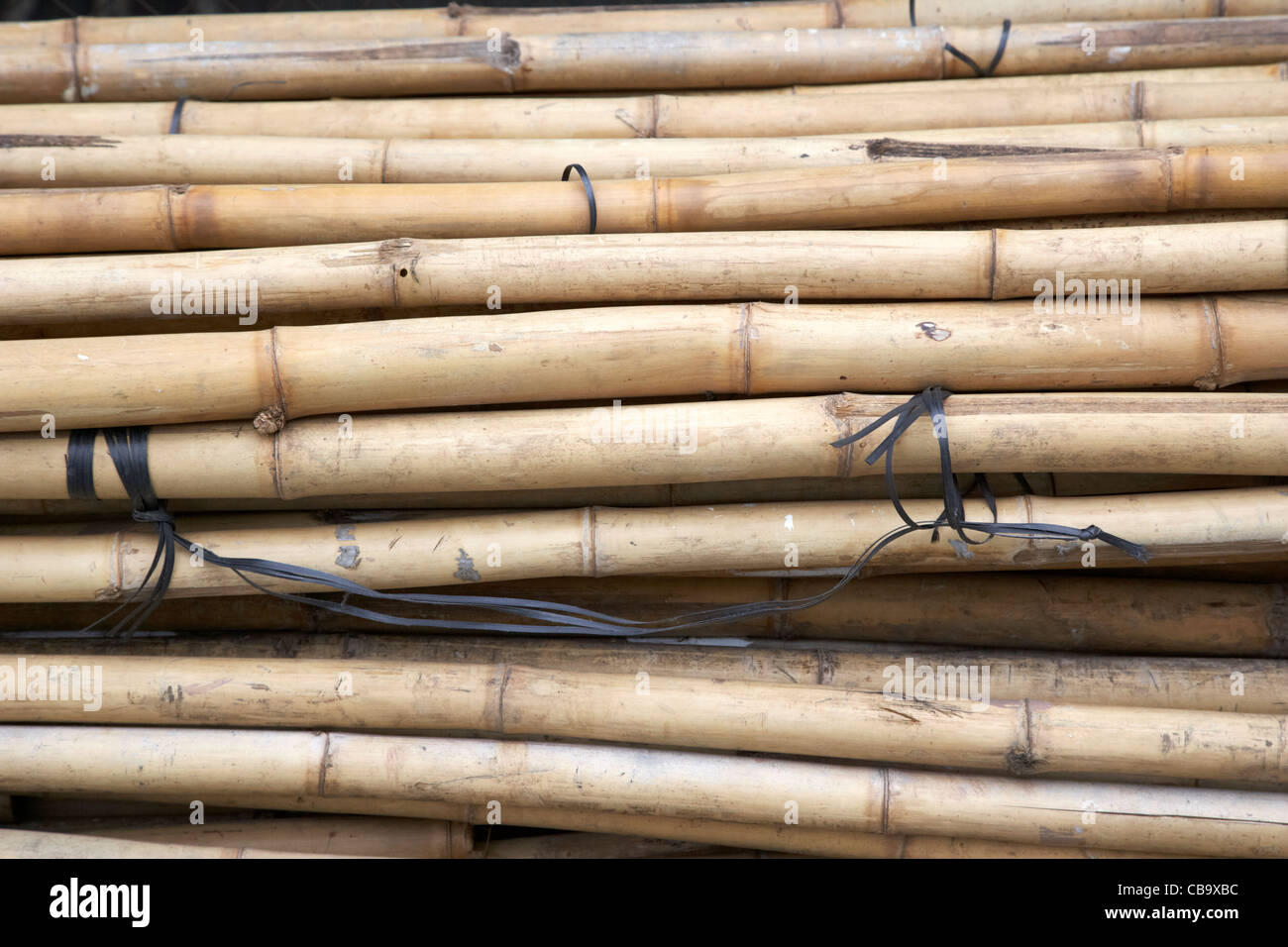 Bambus gerst china -Fotos und -Bildmaterial in hoher Auflsung  Alamy