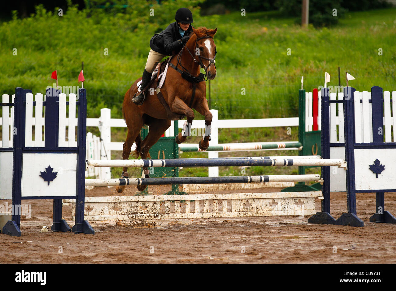 Rotes Pferd springen Zaun Stockfoto