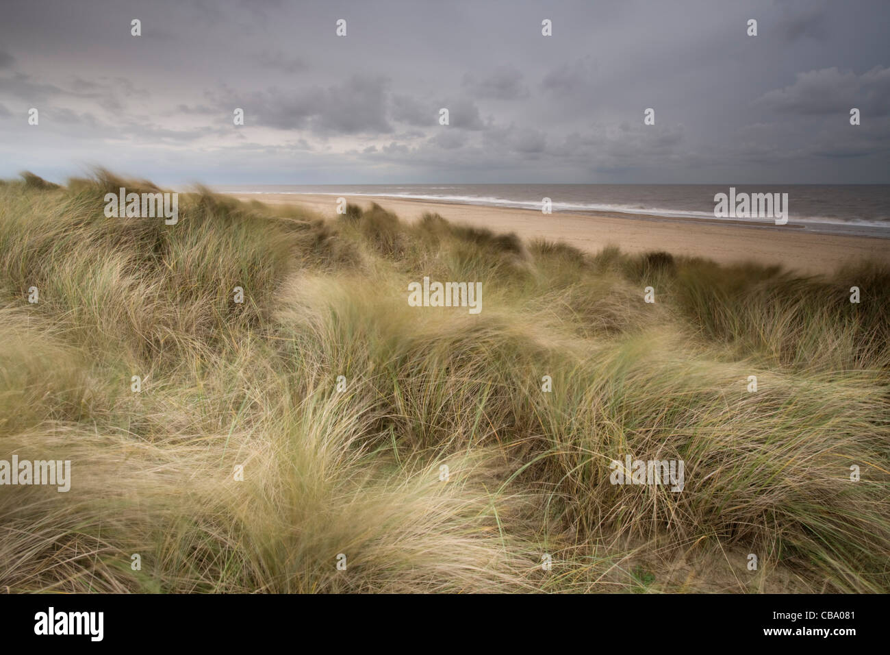 Dünengebieten Gras- und Sanddünen Winterton am Meer-Norfolk Stockfoto