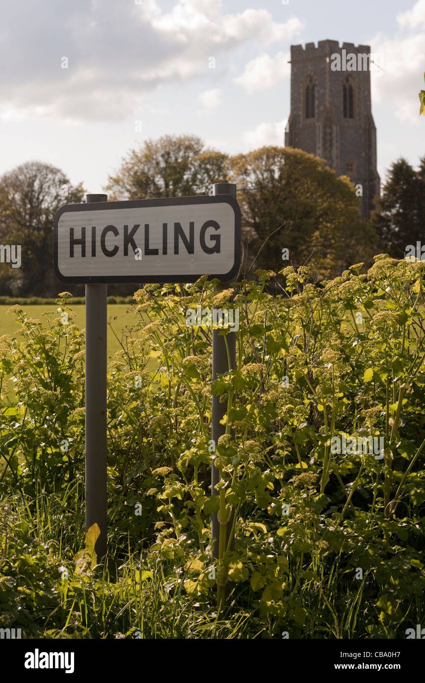 Hickling Dorf Schild mit Alexanders in Blüte. St Mary's Church tower über das Feld hinter sich. Feder, Norfolk. Stockfoto