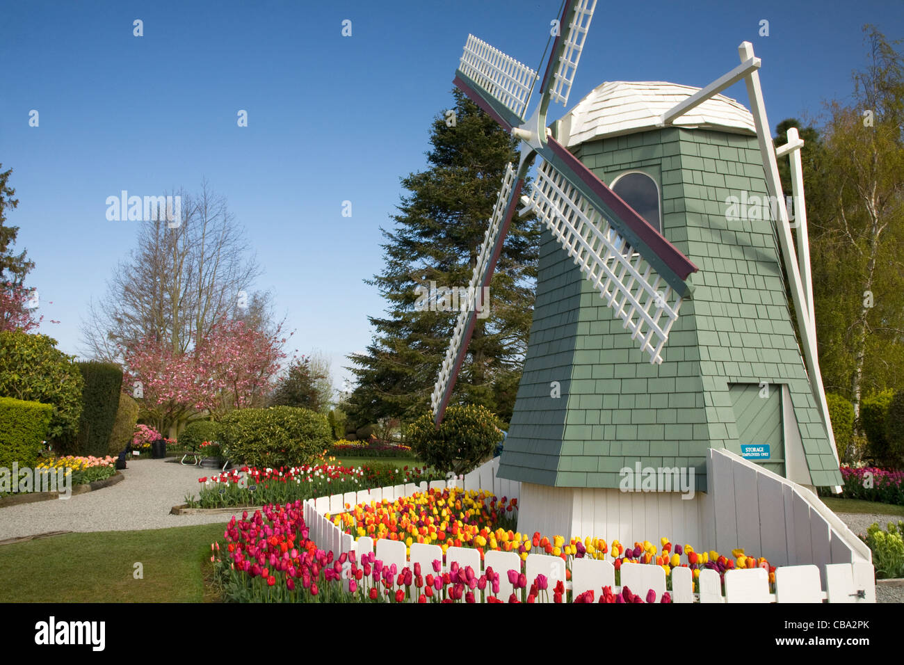 WASHINGTON - Windmühlen und Tulpen im Garten Roozengaarde Birne im Skagit Valley in der Nähe von Mount Vernon. Stockfoto