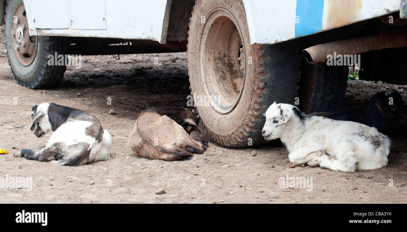 Typische Straßenszene in der kleinen Stadt Ambagiorgies auf der Straße zwischen Gonder und Bahir Dar in Nord-Äthiopien, Afrika. Stockfoto