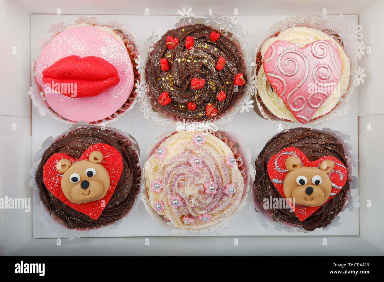 Sechs Cupcakes in Cardbox Feld angeordnet Stockfoto