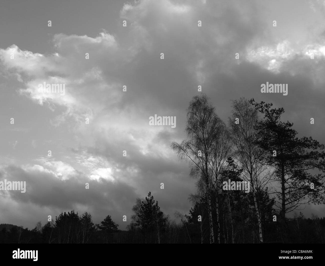 Himmel mit Wolken, Landschaft, schwarz-weiß / Himmel Mit Wolken, Landschaft, Schwarz / Weiß Stockfoto