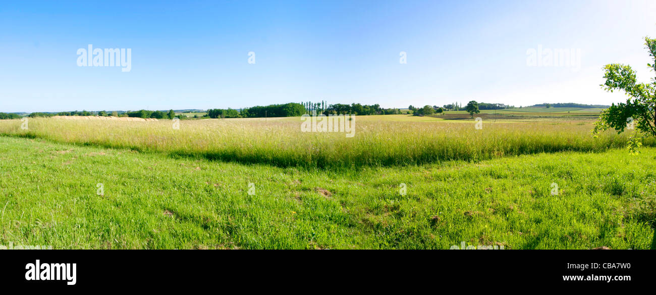 Panorama der Ernte Feld Frankreich Stockfoto