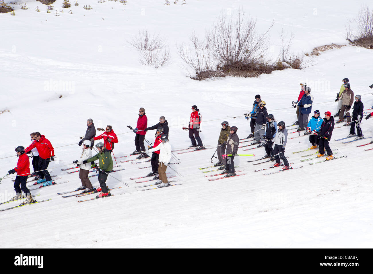 Pferd zog Skilift in der Nähe von Armentarola in Alta Badia Sella Ronda Italy Stockfoto