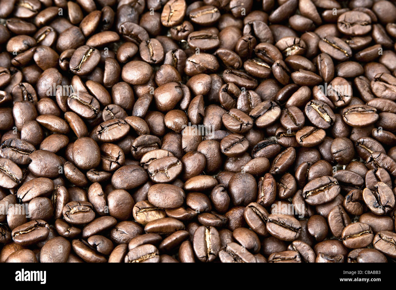 Äthiopische frisch gerösteten Kaffeebohnen Stockfoto