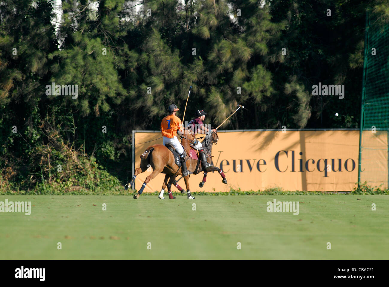 Polo-Spieler in Aktion mit Ball in der Luft Stockfoto