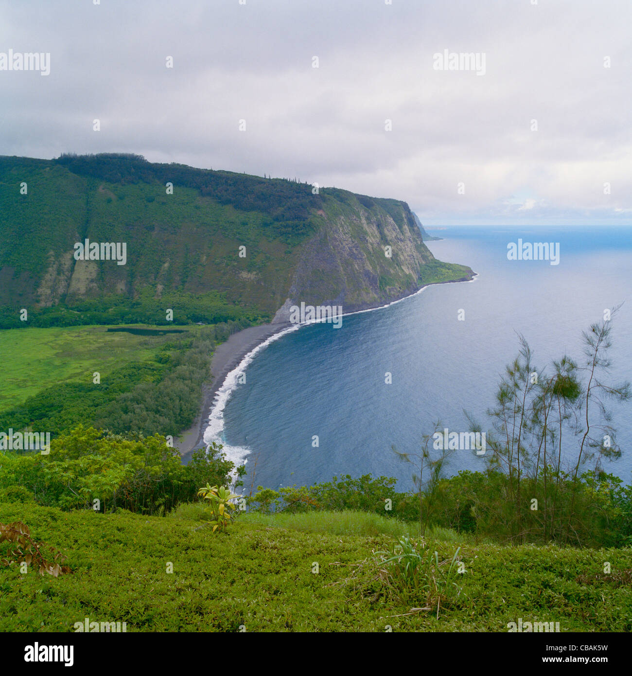 Waipi'o Bay Hamakua Küste Big Island Hawaii Stockfoto