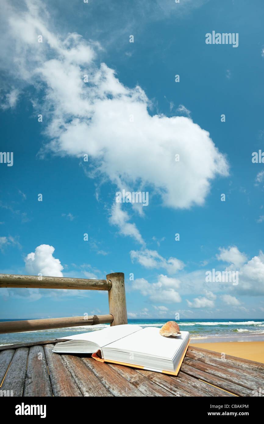 Buchen Sie bei einer Muschel auf dem Bambus Stuhl am Strand. Vertikale Zusammensetzung. Stockfoto
