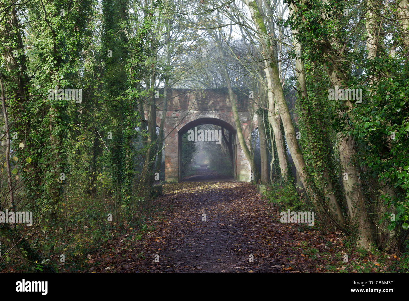 Reservieren Sie alte Eisenbahntrasse und Brücke am South Cerney - jetzt Teil einer Natur Stockfoto