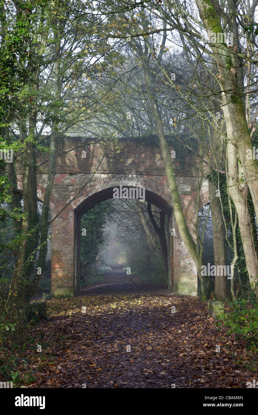 Reservieren Sie alte Eisenbahntrasse und Brücke am South Cerney - jetzt Teil einer Natur Stockfoto