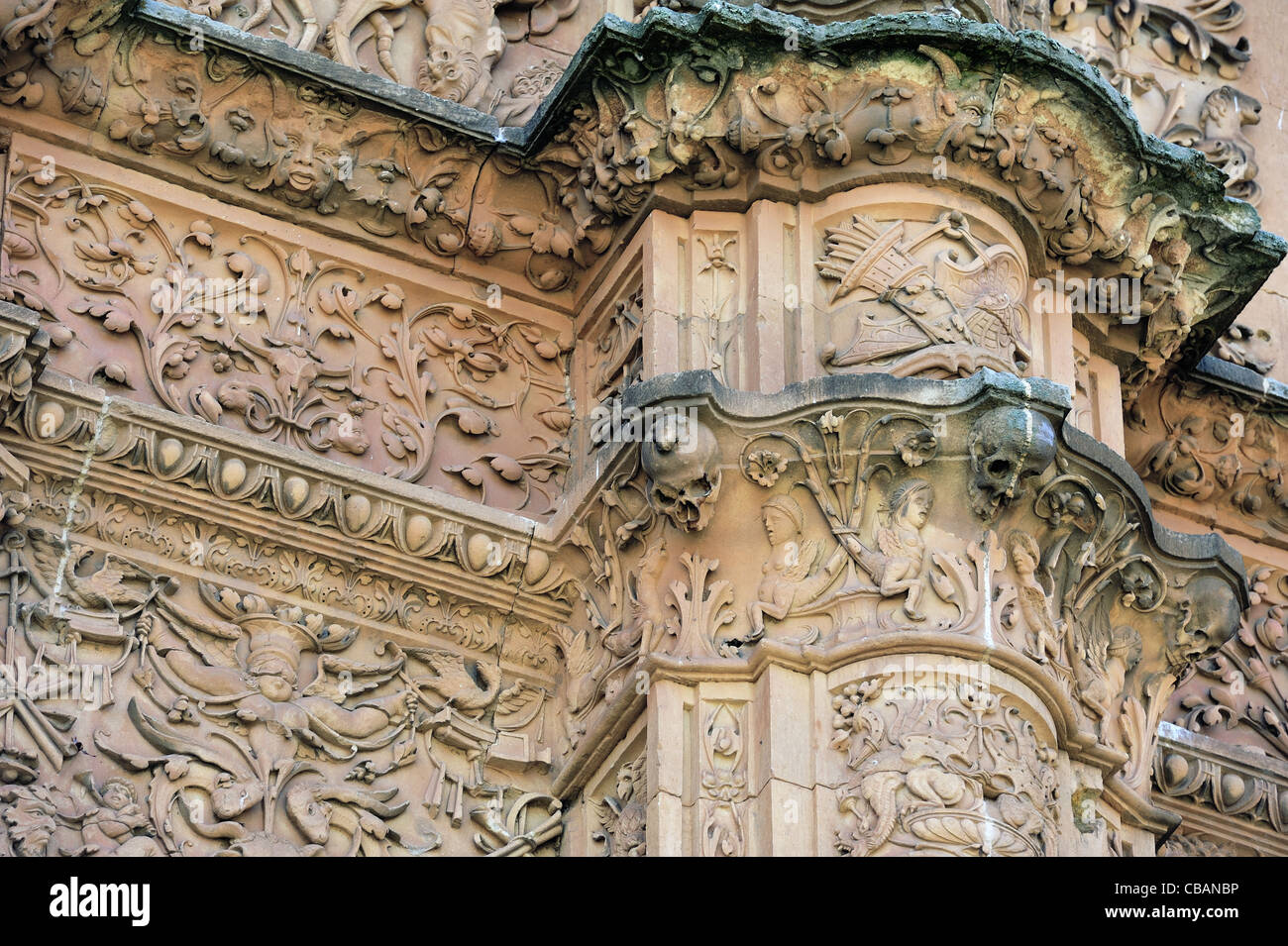 Fassade der Universität Salamanca mit Frosch auf einem Totenkopf (Kastilien  und León, Spanien Stockfotografie - Alamy
