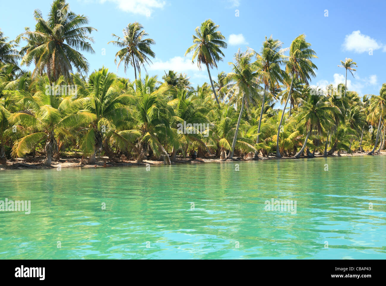 Traumhafte Insel im Südpazifik mit Kokospalmen und türkisfarbenem Wasser. Stockfoto