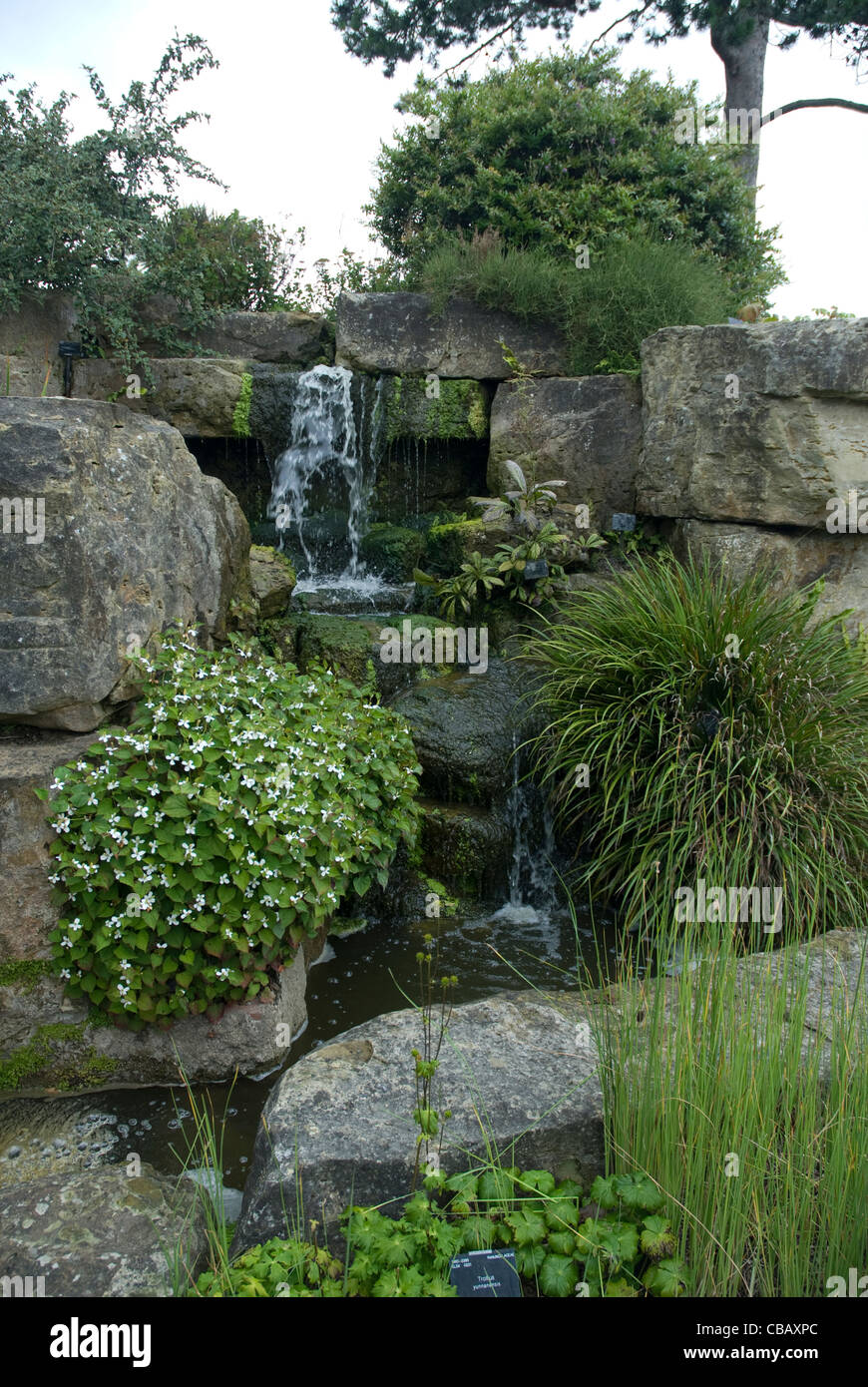 Der Steingarten und Wasserfall Kew Gardens, Surrey England Vereinigtes Königreich Stockfoto