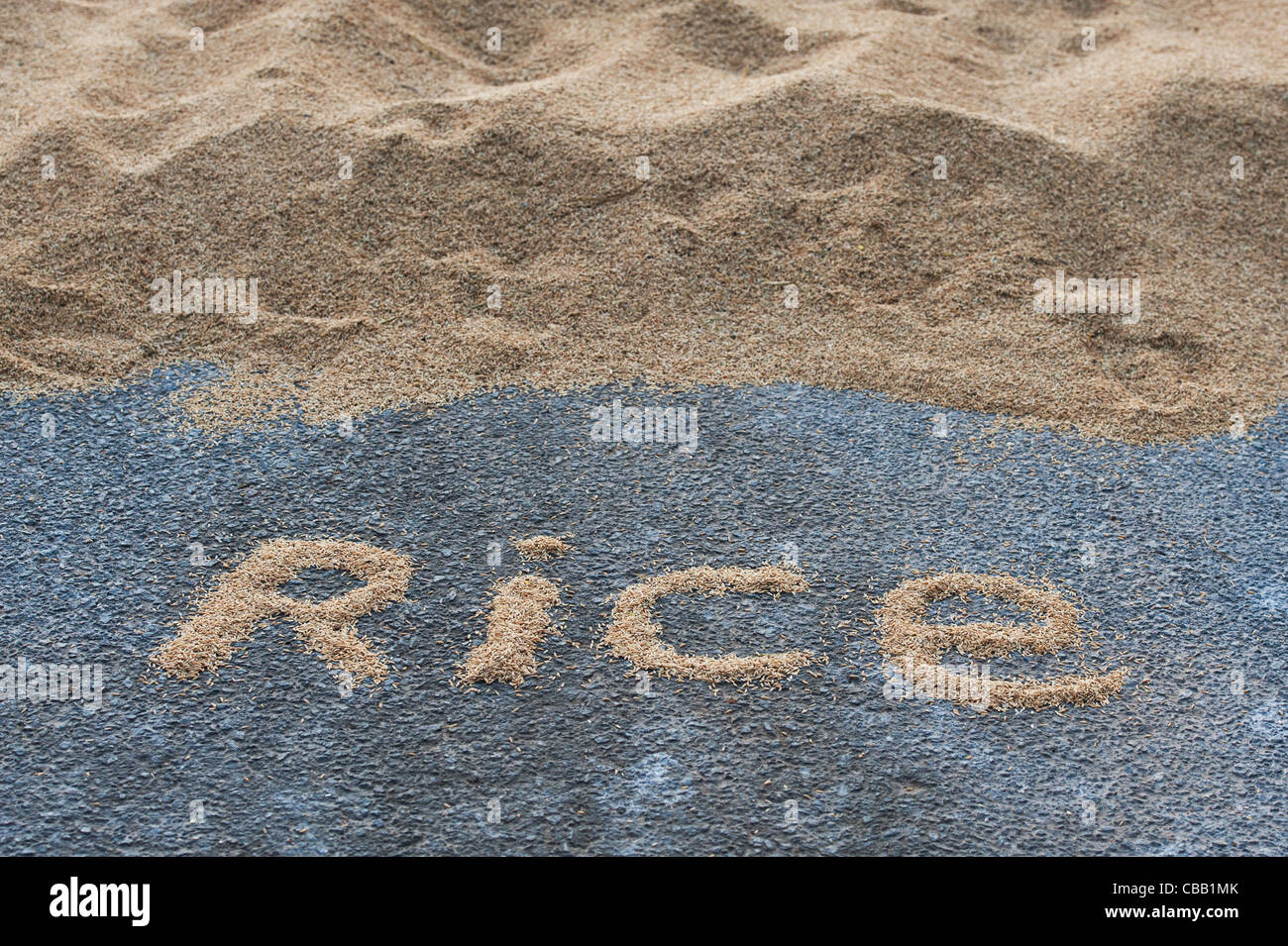 Reis-Wort vor Trocknung Reiskorn auf einer indischen Straße. Andhra Pradesh, Indien Stockfoto