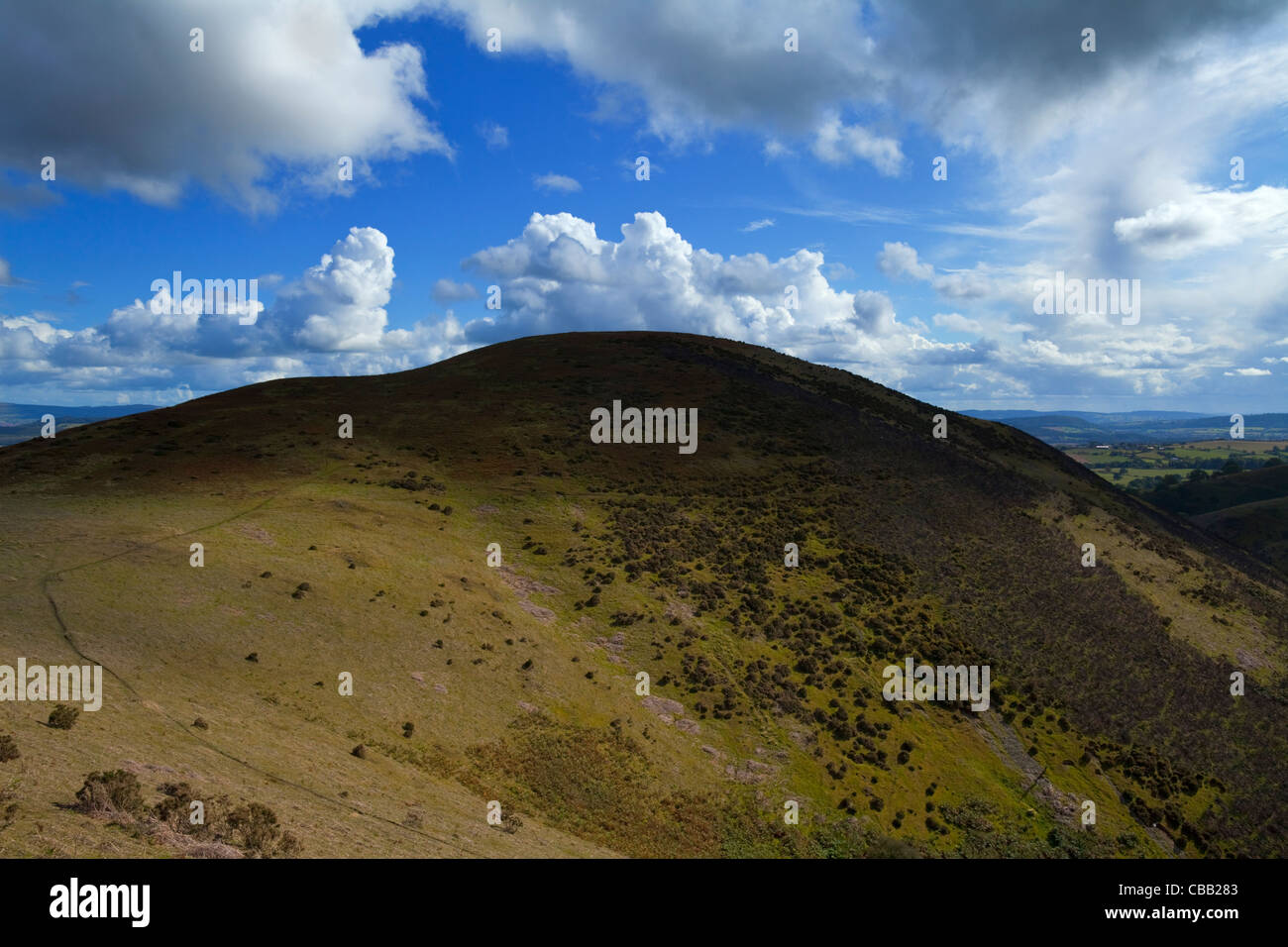 Callow Berg, in der Nähe des Long Mynd, über Little Stretton Shropshire, England Großbritannien Stockfoto