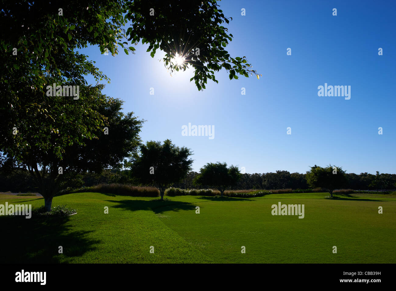 Saftig grünen Rasen sonnigen blauen Himmel Stockfoto
