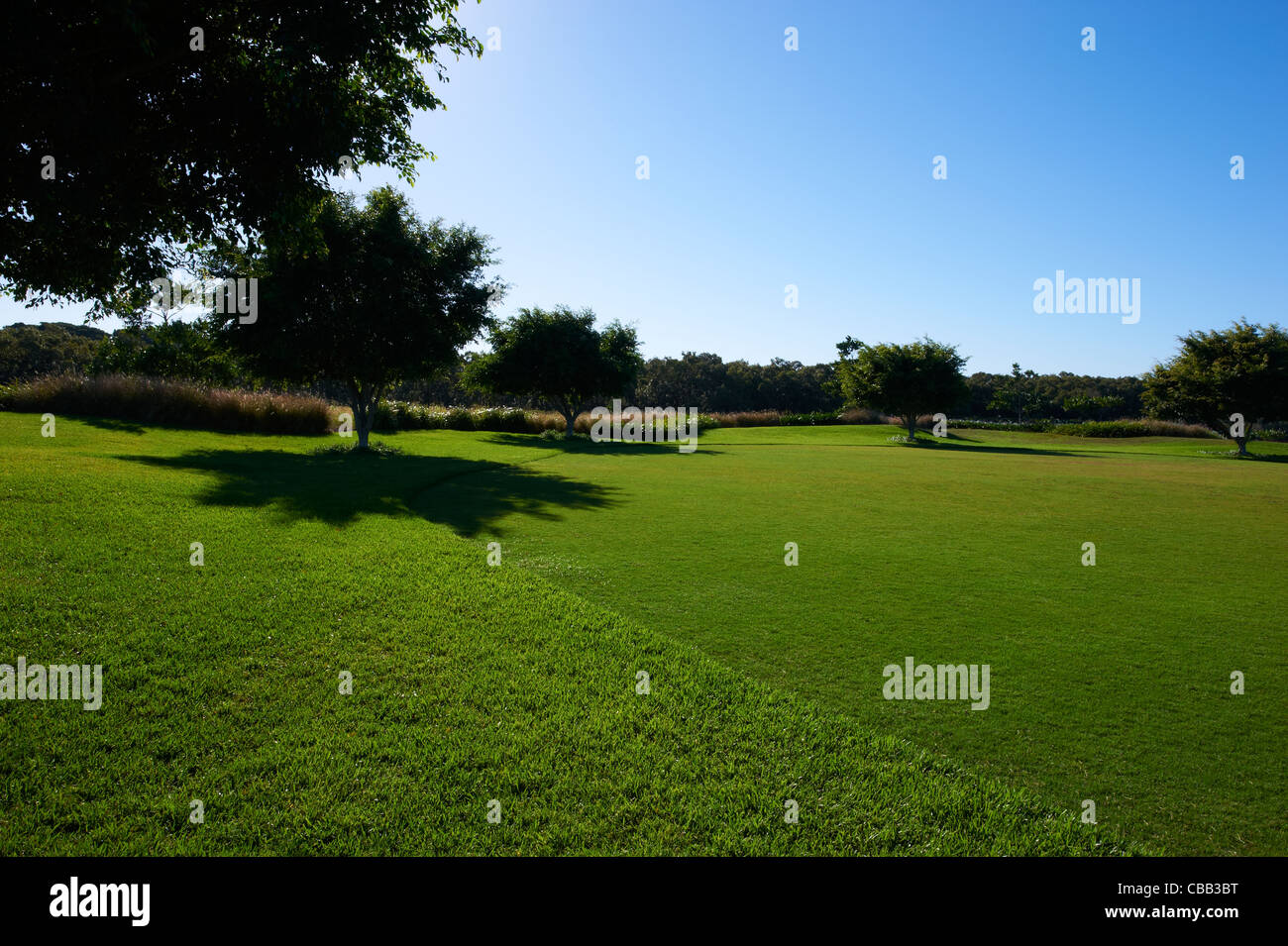 Saftig grünen Rasen sonnigen blauen Himmel Stockfoto