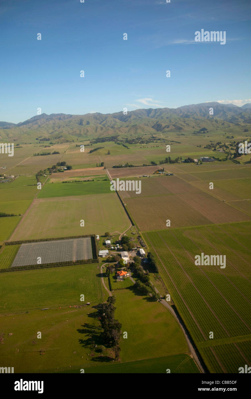 Marlborough, Südinsel, Neuseeland Stockfoto