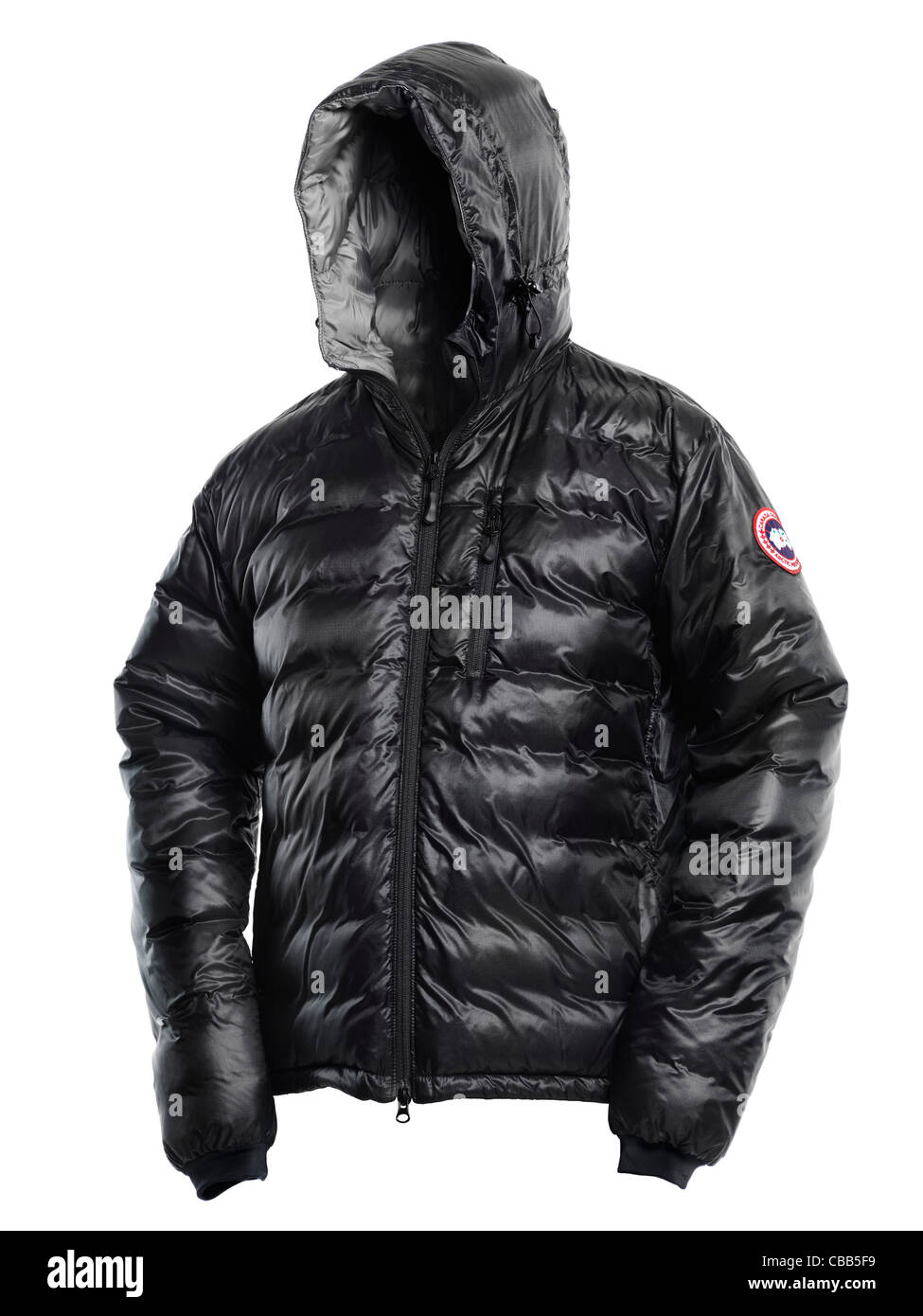 Kanada-Gans schwarze Winterjacke mit Kapuze isoliert auf weißem Hintergrund Stockfoto