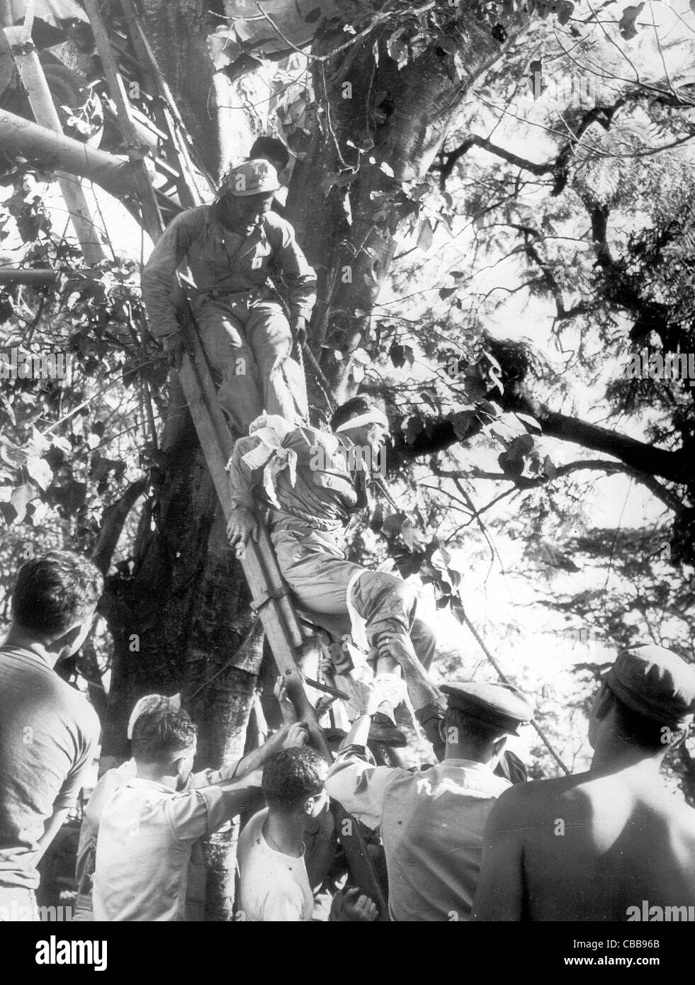 Ein verletzter Flieger wird von einem Baum geholfen, nach seinem Leichtflugzeug in den Dschungel Baumkronen stürzte während des Betriebs über Burma Stockfoto